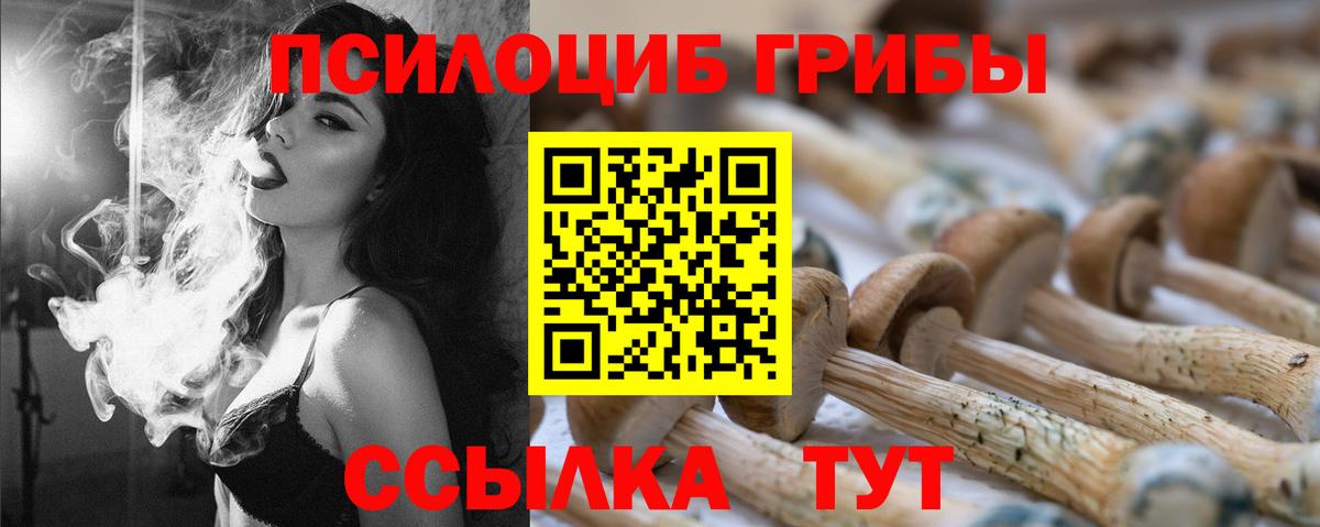 Галлюциногенные грибы Cubensis  Галлюциногенные грибы Psilocybine cubensis  Орск  Вход с VPN 